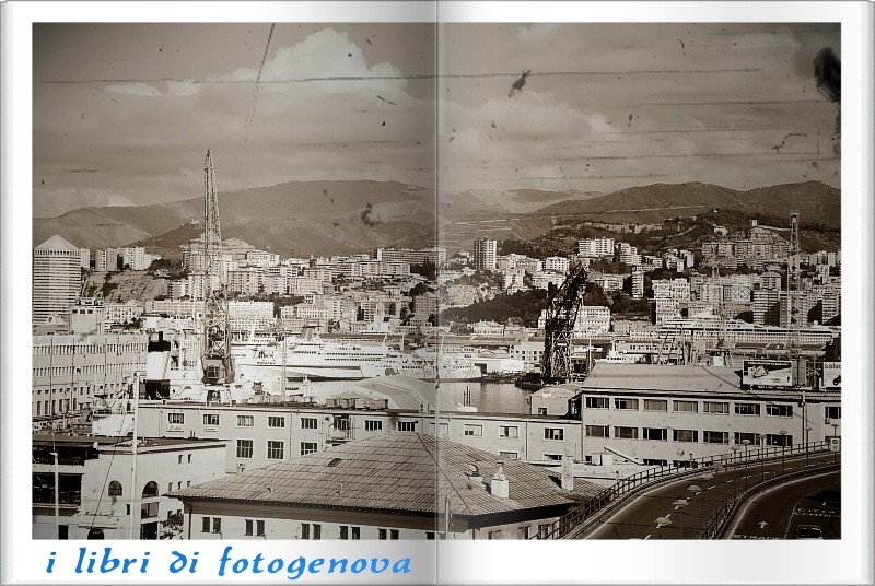 fotogenova libro (28).jpg