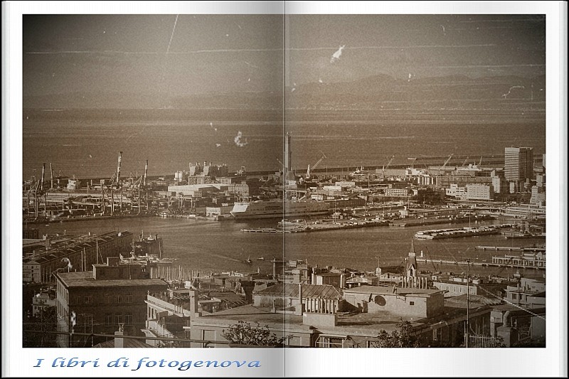 fotogenova libro (5).jpg